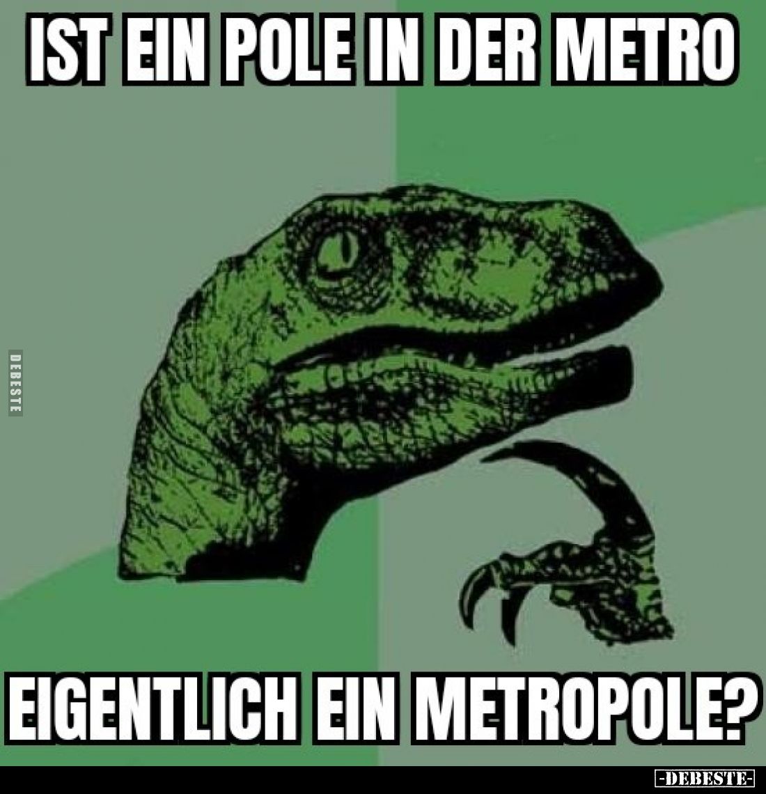 Ist ein Pole in der Metro eigentlich ein Metropole?
