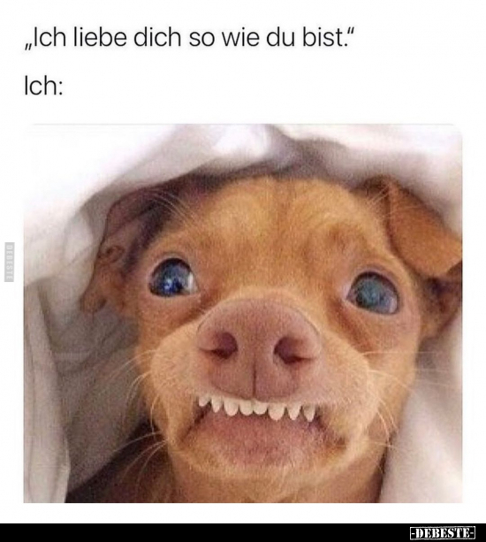 "Ich liebe dich so wie du bist.".. - Lustige Bilder | DEBESTE.de