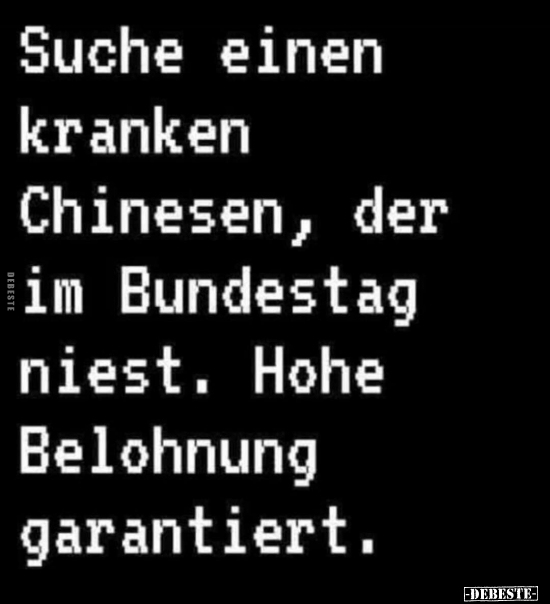 Suche einen kranken Chinesen, der im Bundestag niest.. - Lustige Bilder | DEBESTE.de