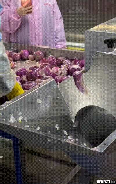 Zwiebelmaschine