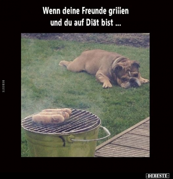 Wenn deine Freunde grillen und du auf Diät bist... - Lustige Bilder | DEBESTE.de