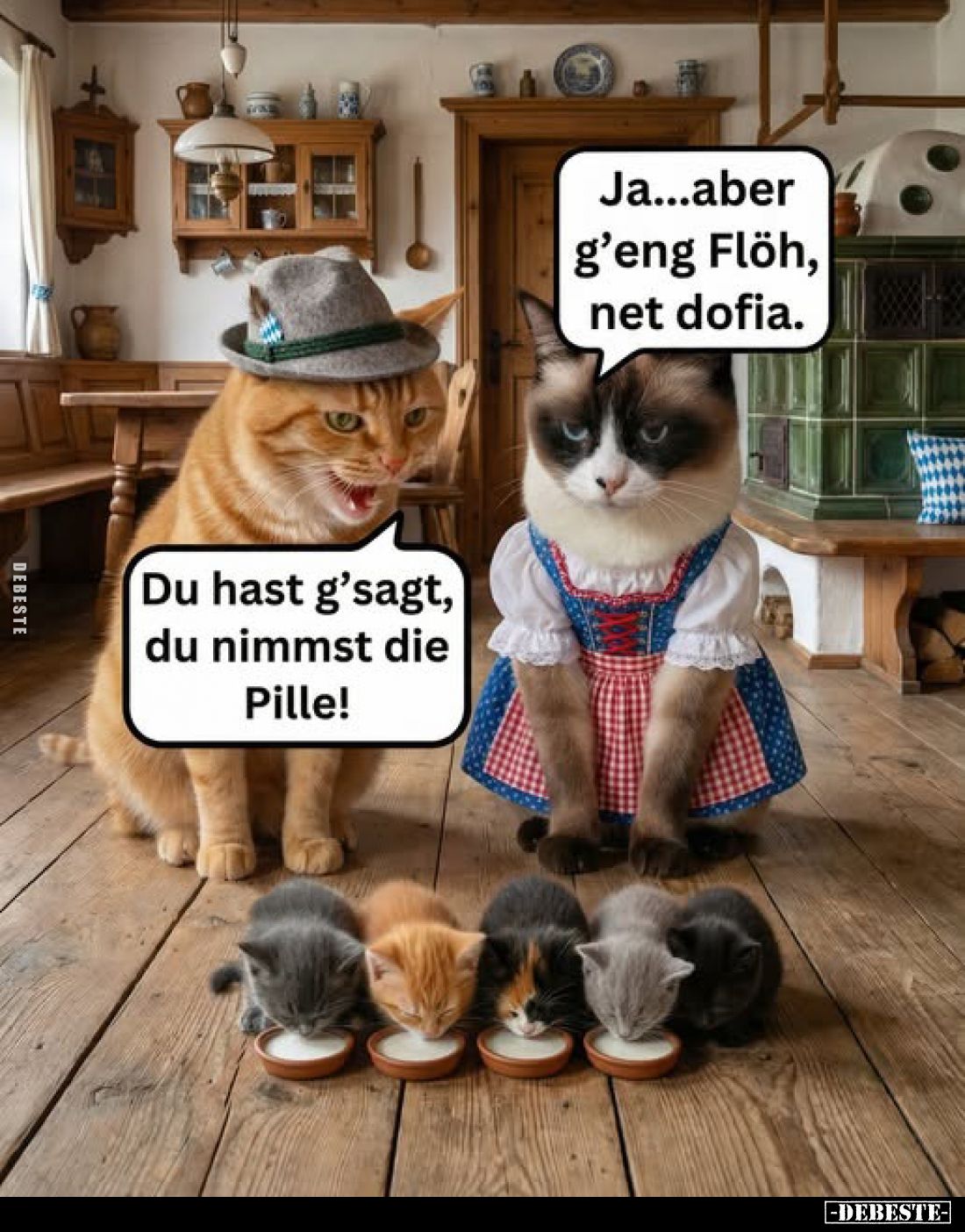 Du hast g'sagt, du nimmst die Pille! Ja...aber g'eng Flöh, net dofia.