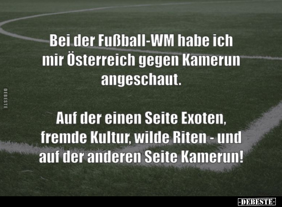 Bei der Fußball-WM habe ich mir Österreich gegen Kamerun.. - Lustige Bilder | DEBESTE.de