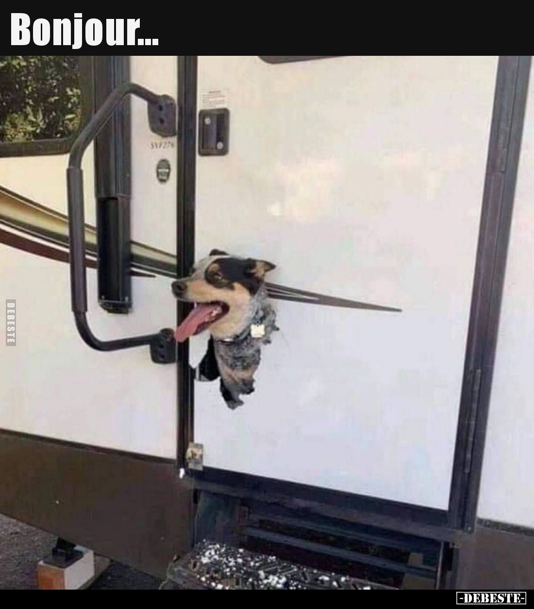 Bonjour...