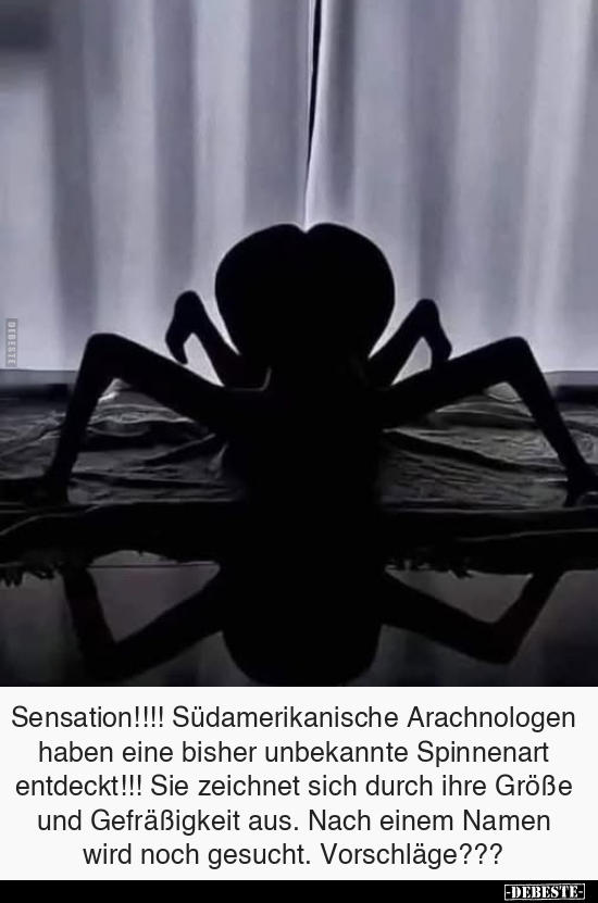 Sensation!!!! Südamerikanische Arachnologen haben.. - Lustige Bilder | DEBESTE.de