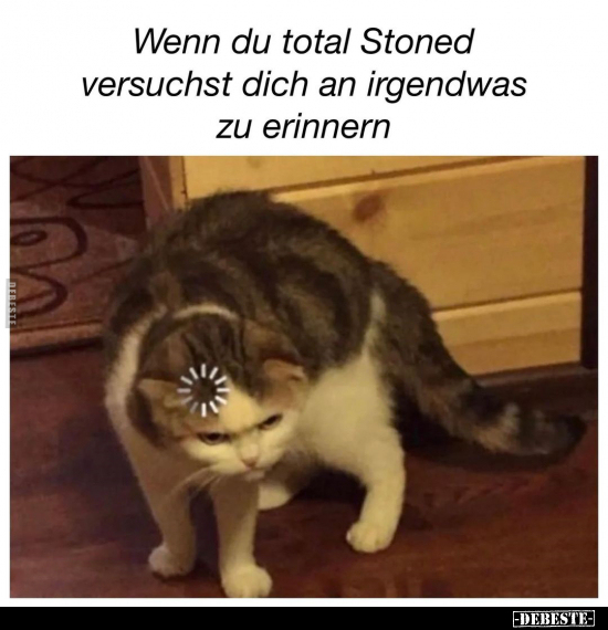 Wenn du total Stoned versuchst dich an irgendwas zu.. - Lustige Bilder | DEBESTE.de