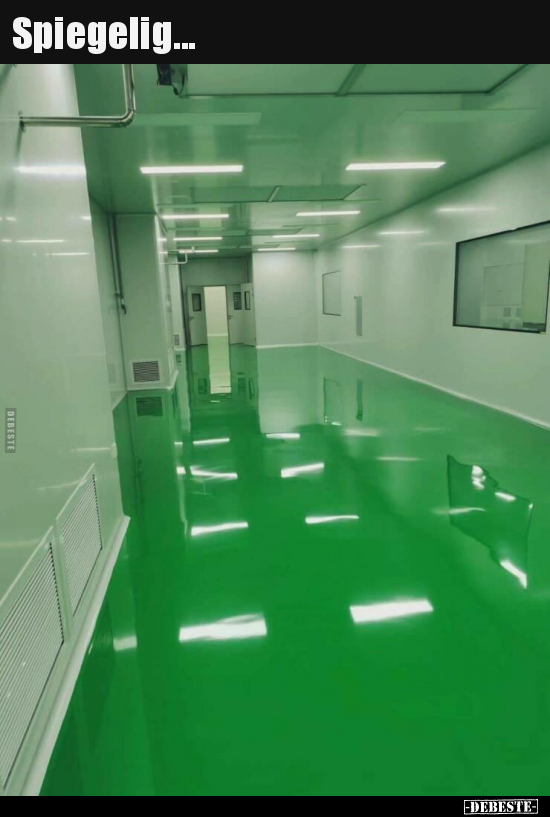 Spiegelig...