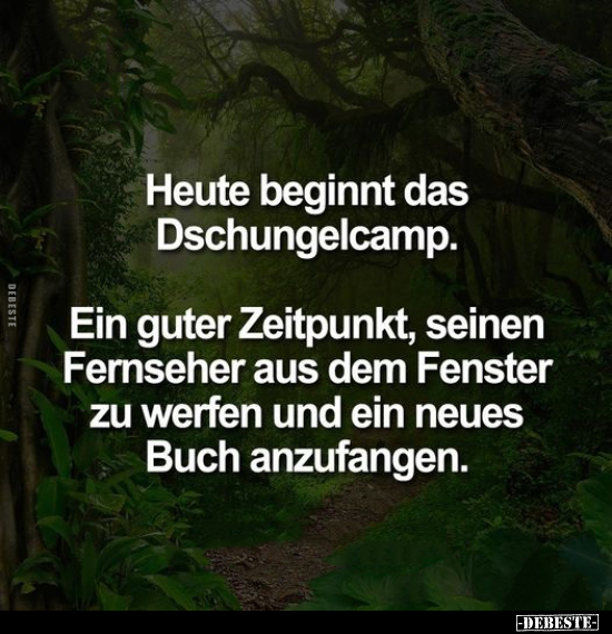 Heute beginnt das Dschungelcamp.. - Lustige Bilder | DEBESTE.de