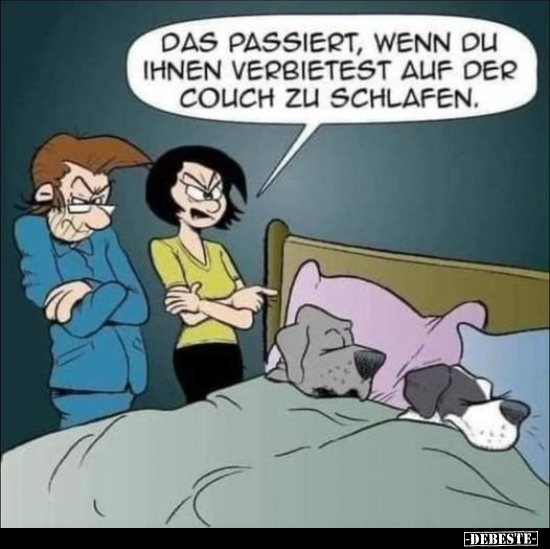 Das passiert, wenn du ihnen verbietestauf der Couch zu.. - Lustige Bilder | DEBESTE.de