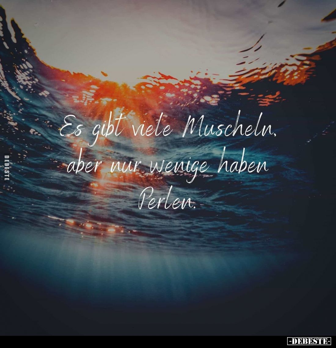 Es gibt viele Muscheln, aber nur wenige haben Perlen.