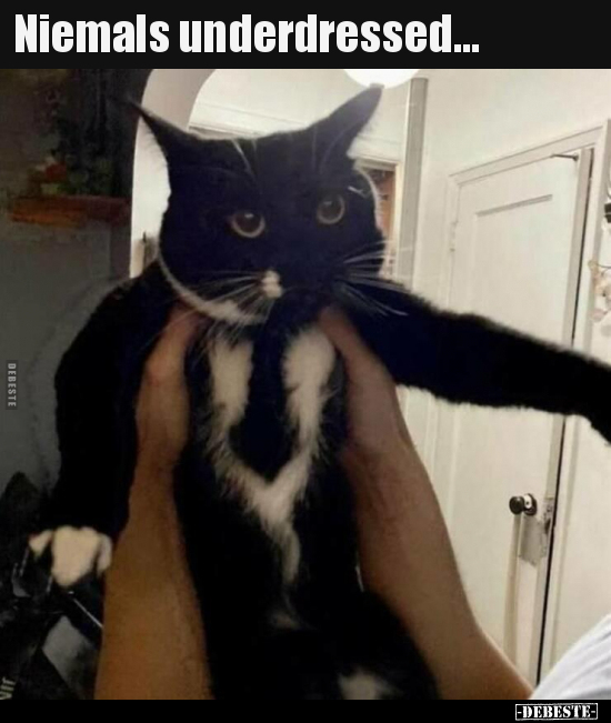 Niemals underdressed...