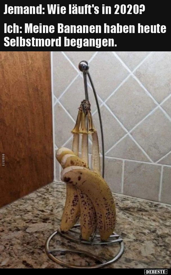 Jemand: Wie läuft's in 2020?...