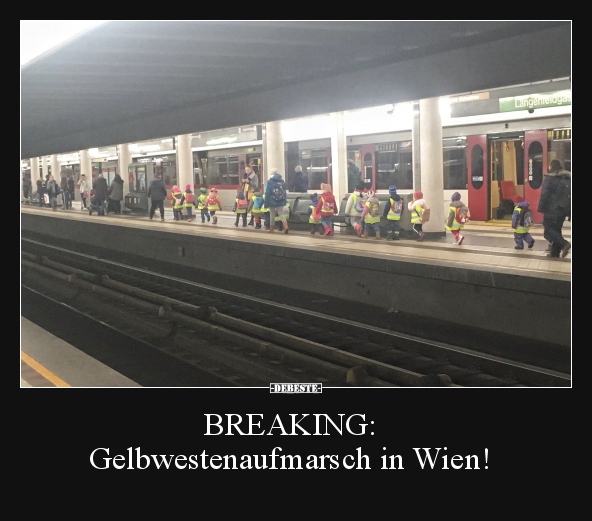 BREAKING: Gelbwestenaufmarsch in Wien!..