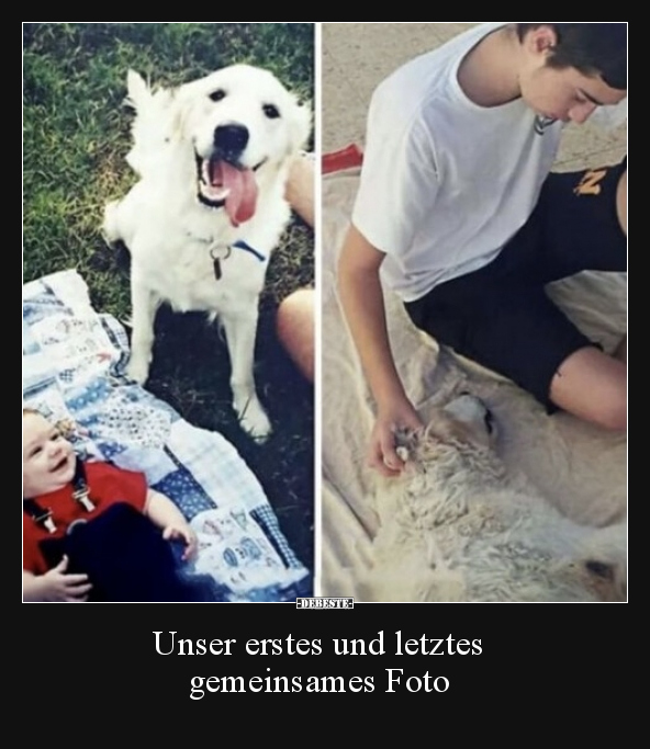 Unser erstes und letztes gemeinsames Foto.. - Lustige Bilder | DEBESTE.de