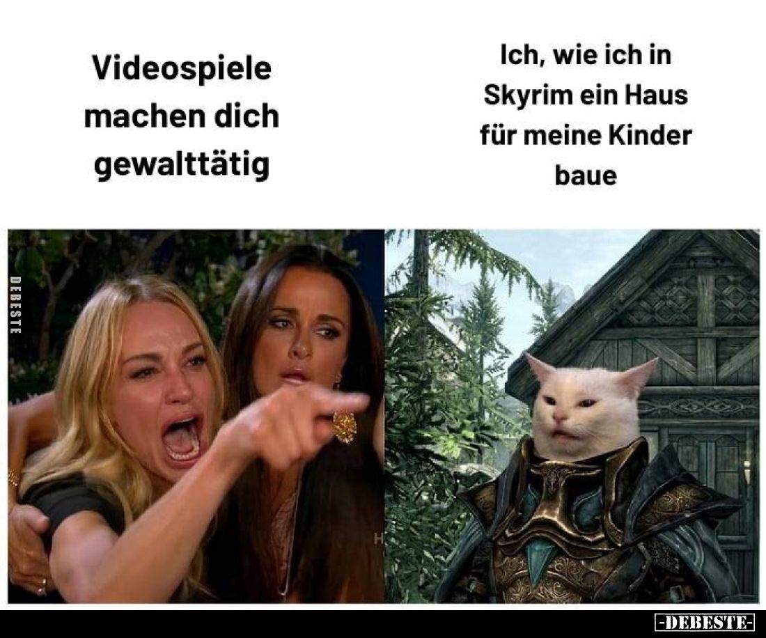 Videospiele machen dich gewalttätig.
 - 
Ich, wie ich in Skyrim ein Haus für meine Kinder baue.