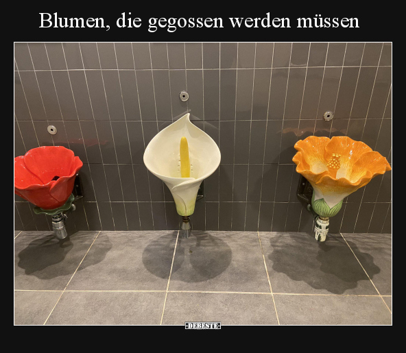 Blumen, die gegossen werden müssen.. - Lustige Bilder | DEBESTE.de