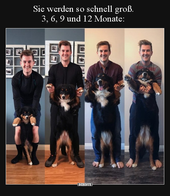 Sie werden so schnell groß. 3, 6, 9 und 12 Monate..