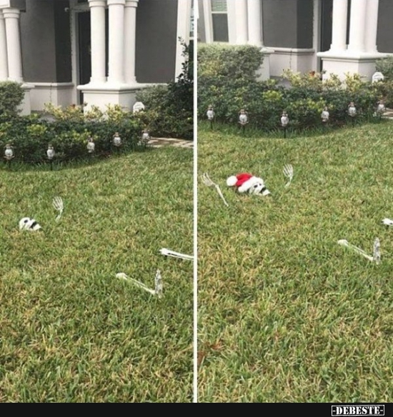  - Lustige Bilder | DEBESTE.de