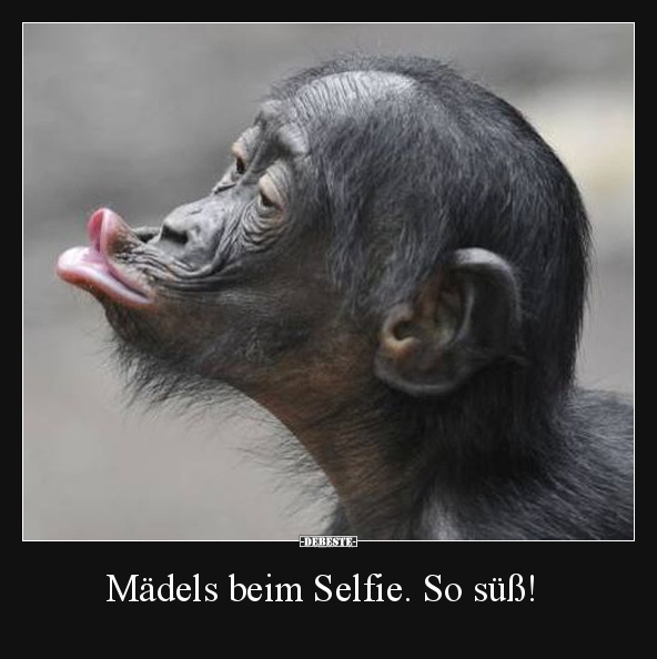 Mädels beim Selfie. So süß! - Lustige Bilder | DEBESTE.de
