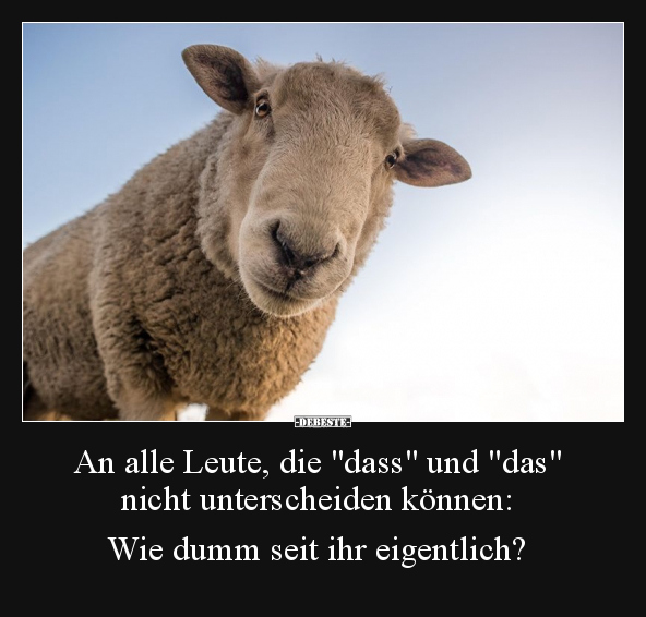 An alle Leute, die "dass" und "das" nicht unterscheiden.. - Lustige Bilder | DEBESTE.de