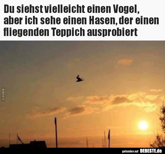 Du siehst vielleicht einen Vogel, aber ich sehe einen.. - Lustige Bilder | DEBESTE.de