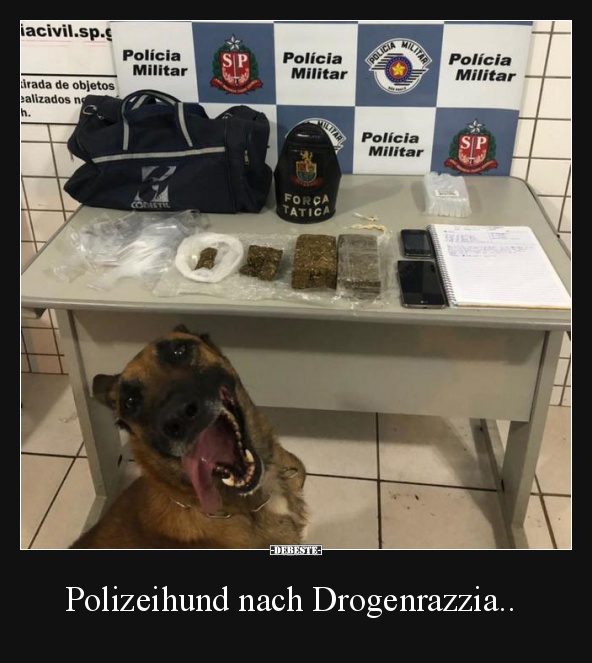 Polizeihund nach Drogenrazzia..