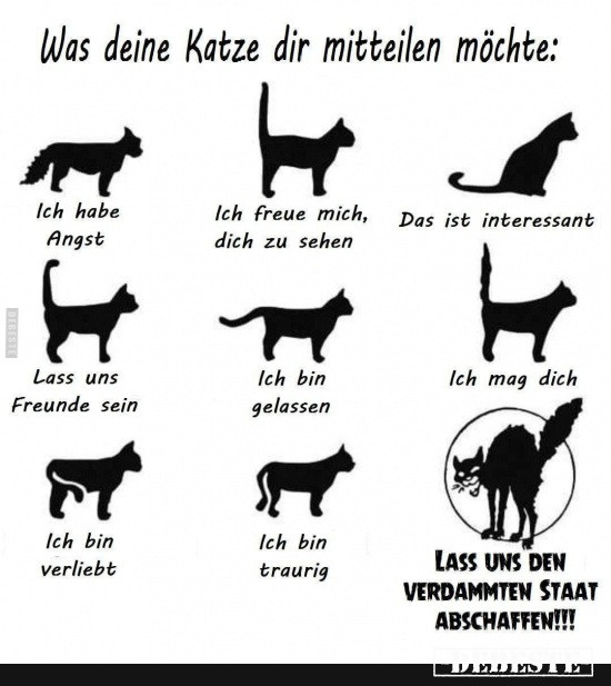  - Lustige Bilder | DEBESTE.de