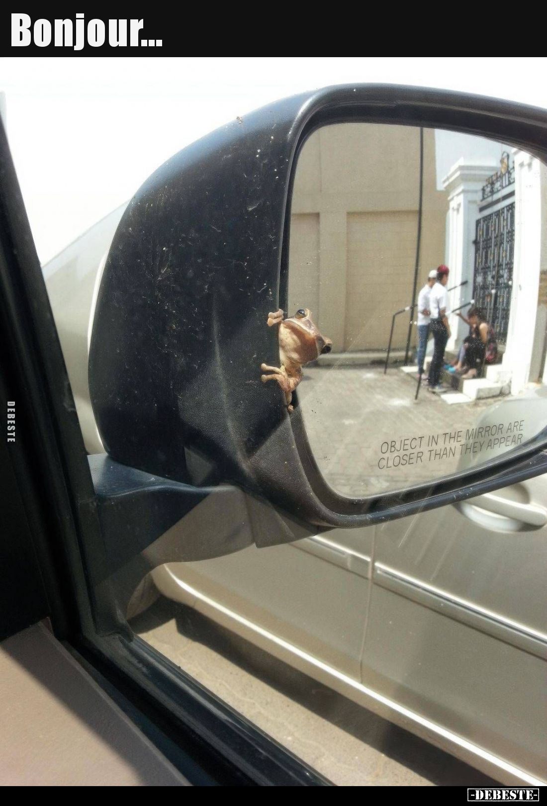 Bonjour... - Lustige Bilder | DEBESTE.de
