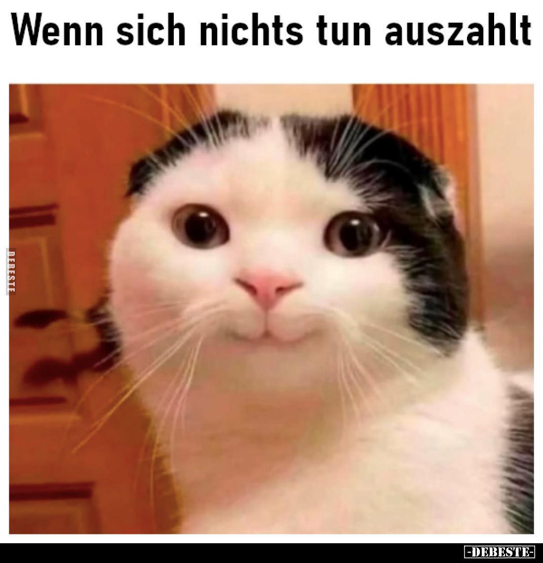 Wenn sich nichts tun auszahlt