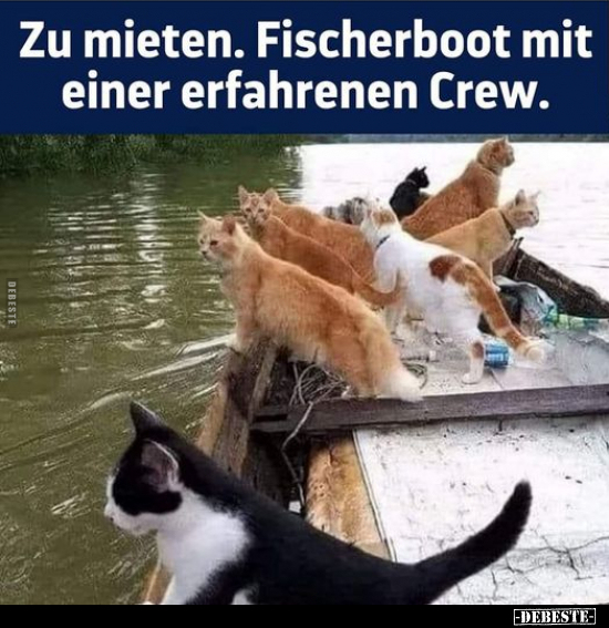 Zu mieten. Fischerboot mit einer erfahrenen Crew... - Lustige Bilder | DEBESTE.de