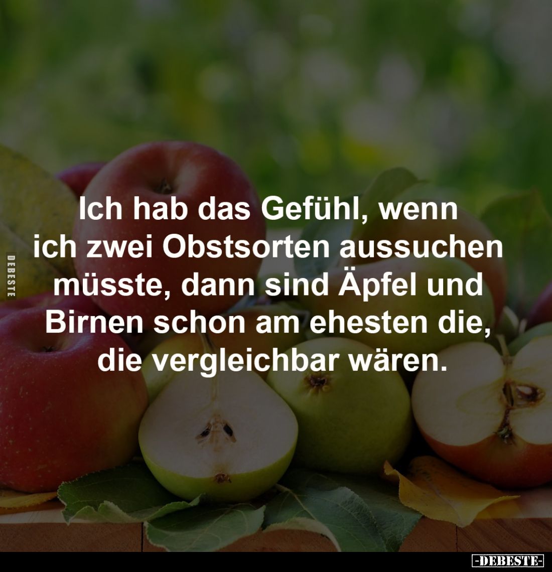Ich hab das Gefühl... - Lustige Bilder | DEBESTE.de
