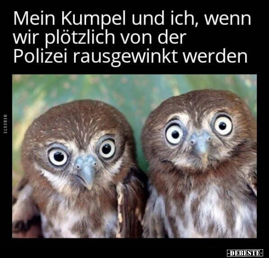 Mein Kumpel und ich, wenn wir plötzlich von der Polizei.. - Lustige Bilder | DEBESTE.de