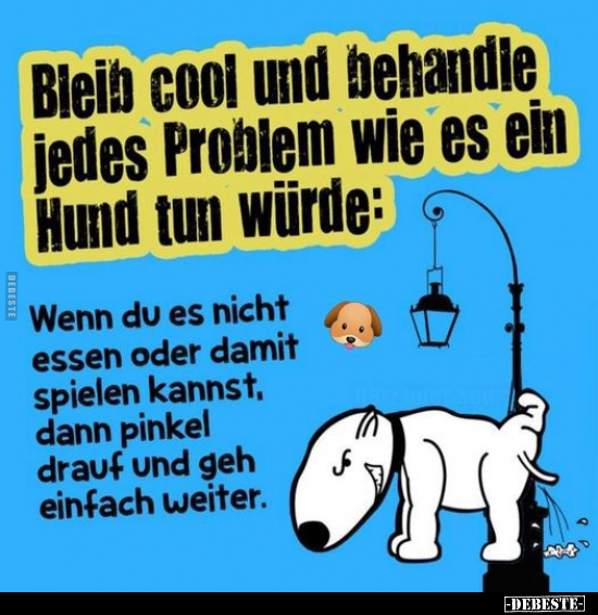 Bleib cool und behandle jedes Problem wie es ein Hund.. - Lustige Bilder | DEBESTE.de