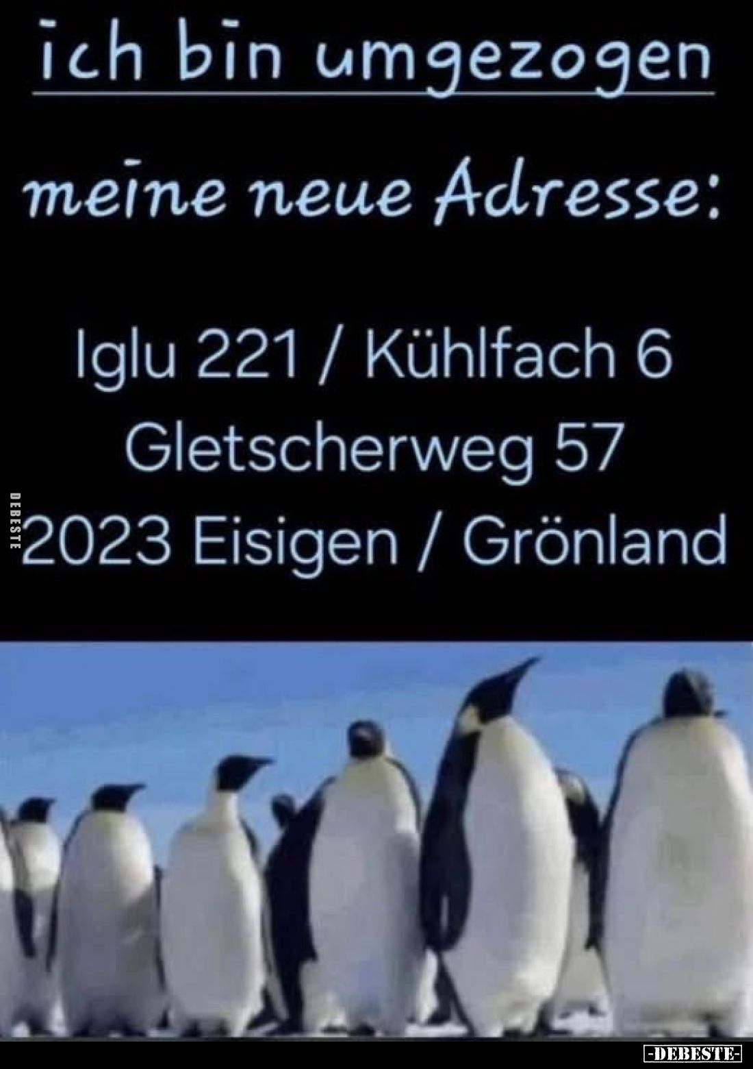 Ich bin umgezogen.. - Lustige Bilder | DEBESTE.de
