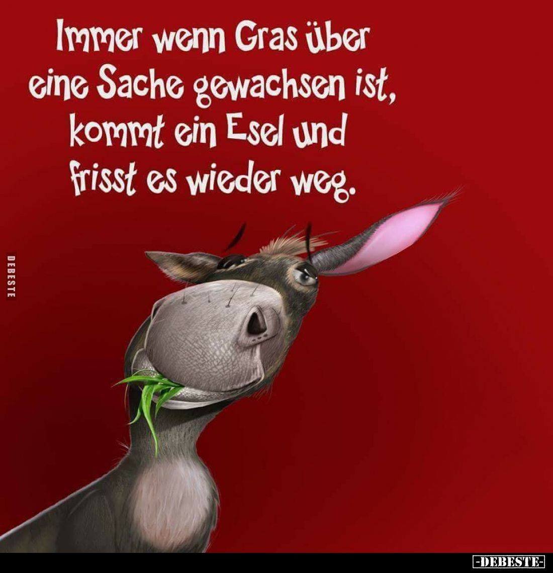 Immer wenn Gras über eine Sache gewachsen ist, kommt ein Esel und frisst es wieder weg.
