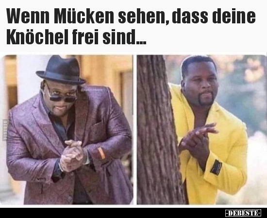 Wenn Mücken sehen, dass deine Knöchel frei sind... - Lustige Bilder | DEBESTE.de