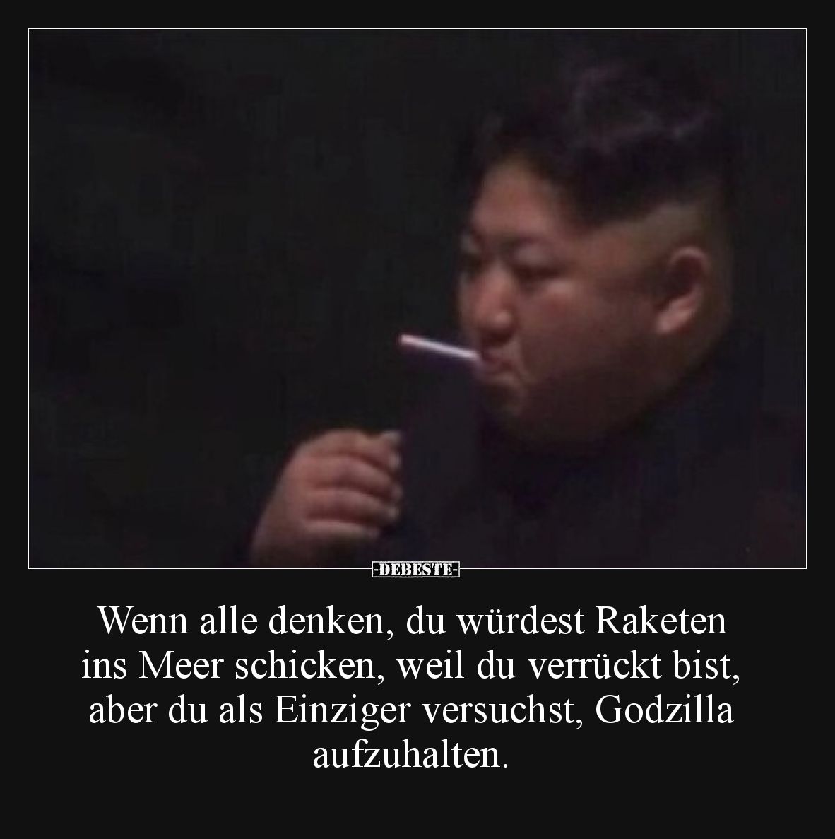 Wenn alle denken, du würdest Raketen ins Meer schicken, weil du verrückt bist, aber du als Einziger versuchst, Godzilla aufzu...