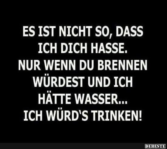 Es ist nicht so, dass ich dich hasse..
