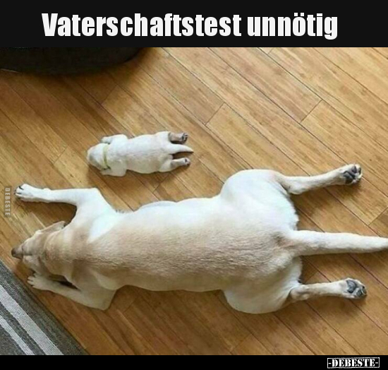 Vaterschaftstest unnötig.. - Lustige Bilder | DEBESTE.de