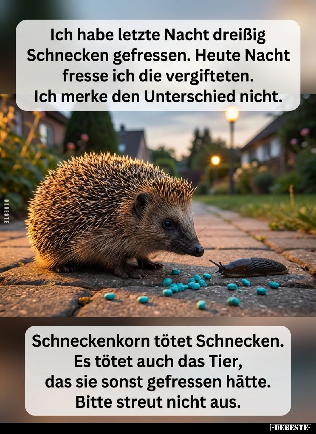 Ich habe letzte Nacht dreißig Schnecken gefressen... - Lustige Bilder | DEBESTE.de