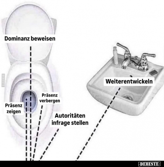 Dominanz beweisen.. - Lustige Bilder | DEBESTE.de