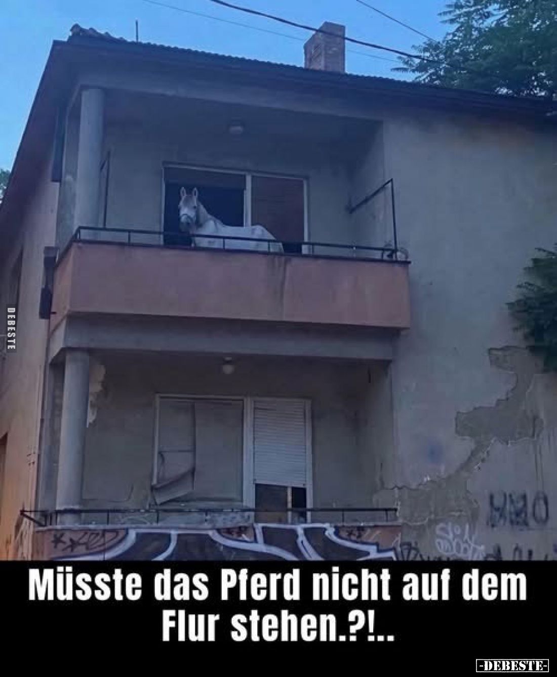 Müsste das Pferd nicht auf dem Flur stehen.?!...