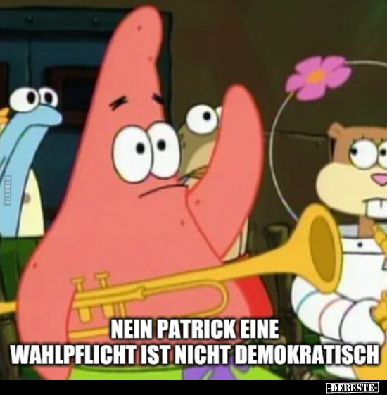 Nein, Patrick, eine Wahlpflicht ist nicht demokratisch... - Lustige Bilder | DEBESTE.de
