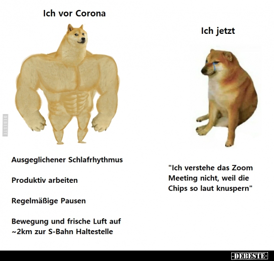 Ich vor Corona / Ich jetzt.. - Lustige Bilder | DEBESTE.de