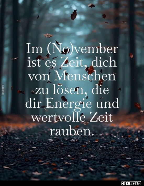 Im (No)vember ist es Zeit, dich von Menschen zu lösen.. - Lustige Bilder | DEBESTE.de