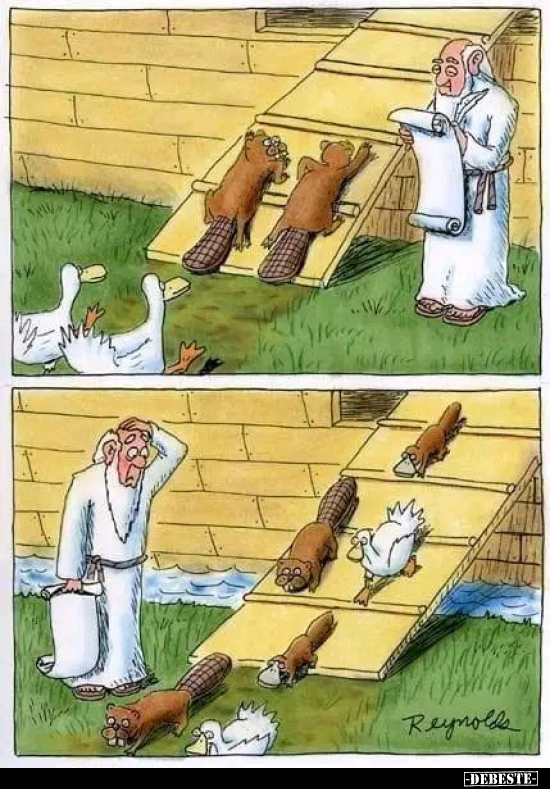  - Lustige Bilder | DEBESTE.de