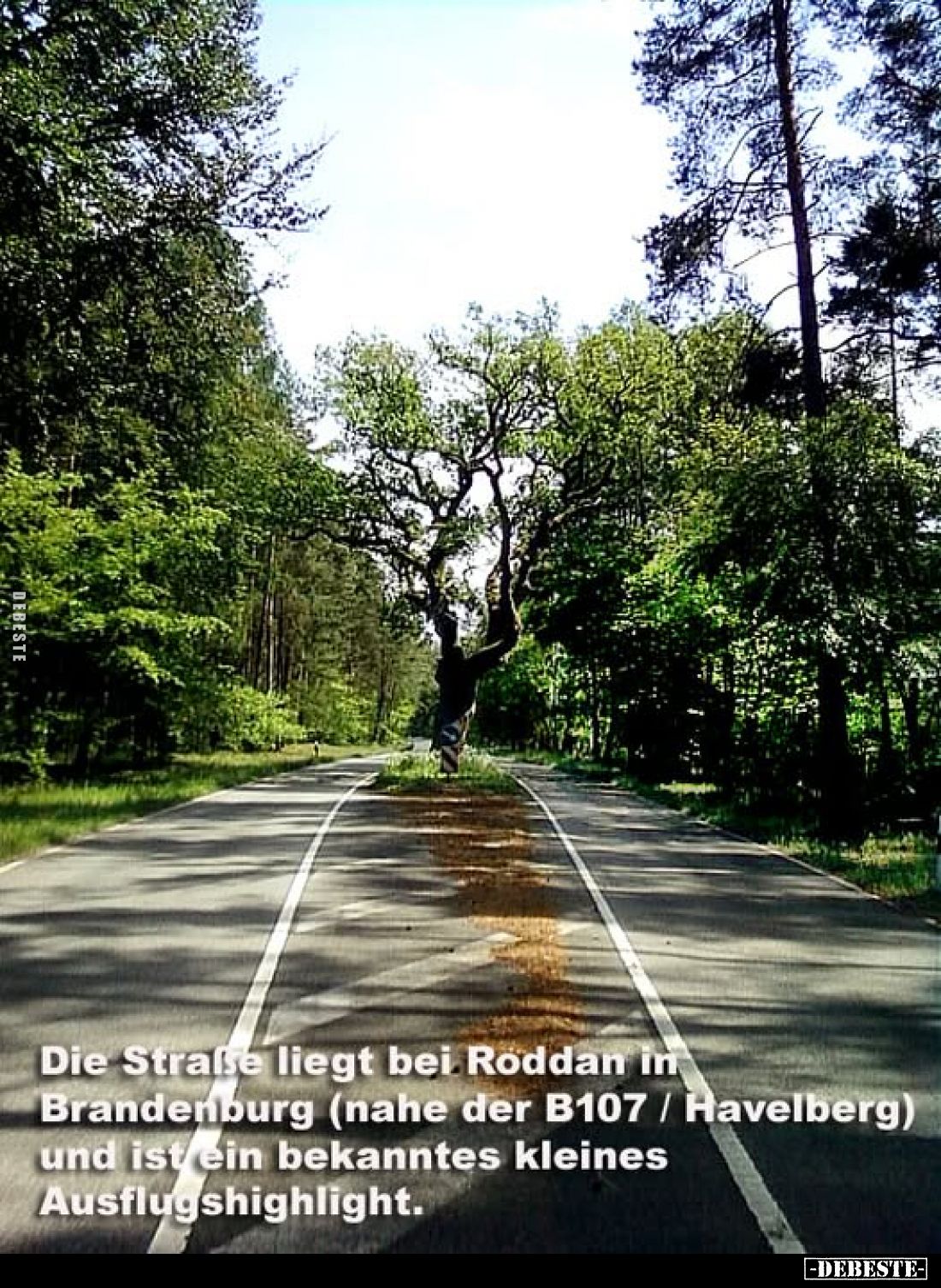 Die Straße liegt bei Roddan in Brandenburg (nahe der B107 / Havelberg) und ist ein bekanntes kleines Ausflugshighlight.