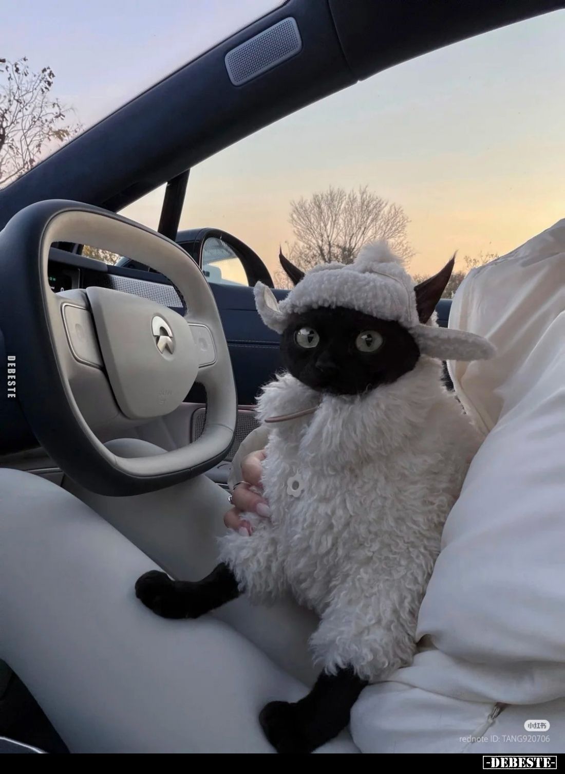  - Lustige Bilder | DEBESTE.de