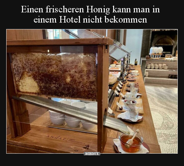 Einen frischeren Honig kann man in einem Hotel nicht.. - Lustige Bilder | DEBESTE.de