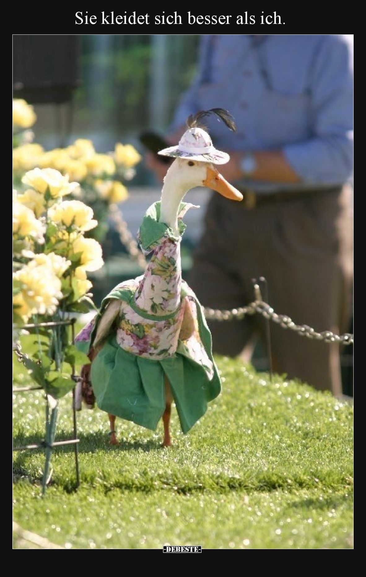 Sie kleidet sich besser als ich.